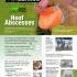 Hoof Abscesses